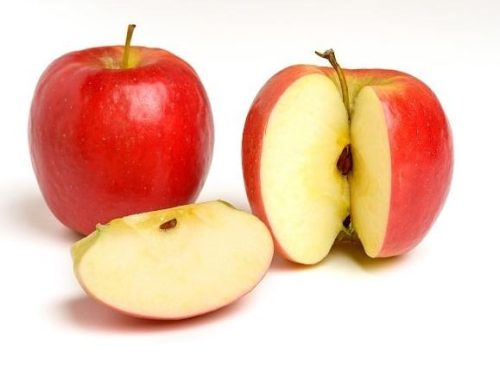 M9 Bonita® szabad gyökerű gyümölcsfa csemete