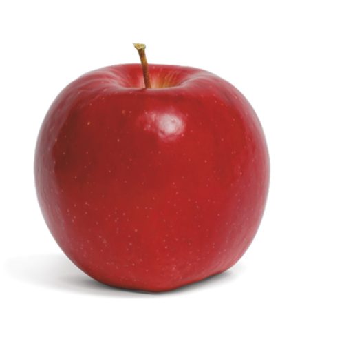 M9 Bonita® szabad gyökerű gyümölcsfa csemete