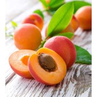 KAJSZI GYÜMÖLCSFA OLTVÁNY